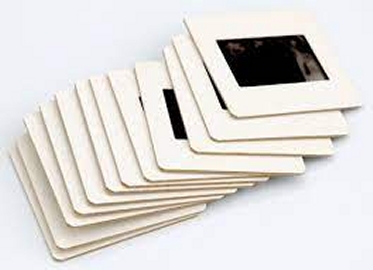 Maud Levet Photographe